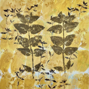2 Milkweed, 46"x40"