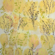 Hogan_Late-Summer_6422x5422