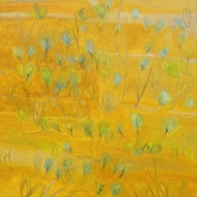 DSCN1372