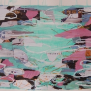collage1